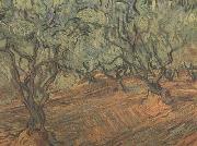 Vincent Van Gogh Olive Grove:Bright Blue Sky (nn04) France oil painting artist